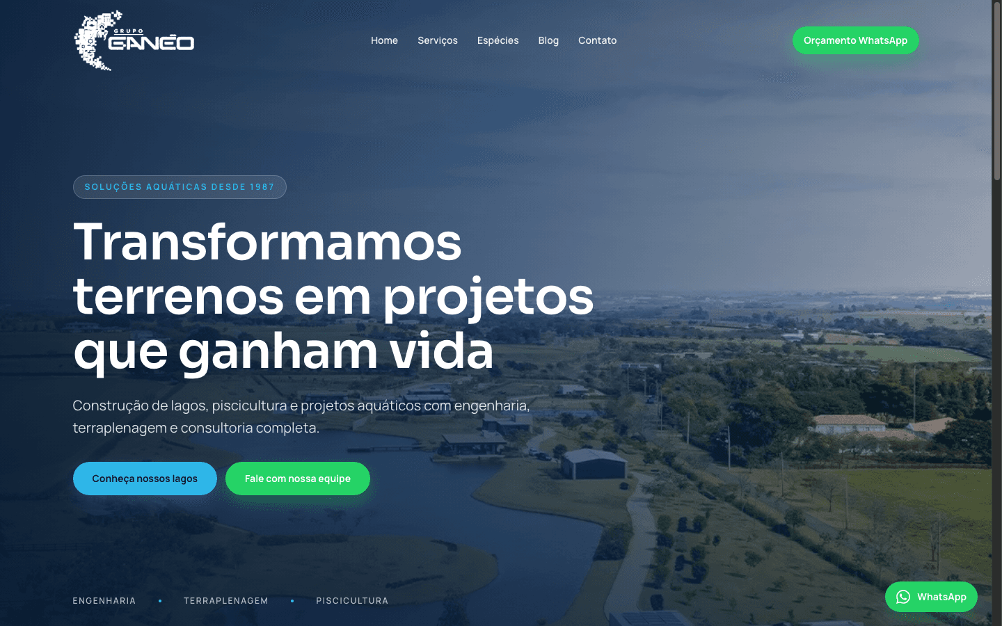 Preview do site Grupo Ganéo